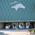 LosAl_Race_0037 (July 26, 2015)